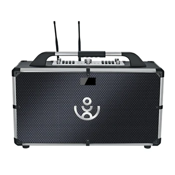 500w în aer liber Subwoofer Reîncărcabilă Karaoke BT 5.3 Portabile, fără Fir, difuzoare Stereo dinte cu Microfon pentru Petrecere