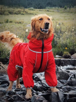 Haine De Câine De Companie Toamna Și Haine De Iarnă Labrador Auriu Blana Mediu Spre Mare Câine În Aer Liber, Pelerina De Ploaie Taxa Haina Caine Patru Picioare