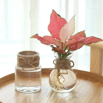 Vas mic pentru Centerpieces de Flori de Plastic Bud Vase Rustice Mini Vaza Clar Forme Unice pentru Nunta Mese Decor Acasă